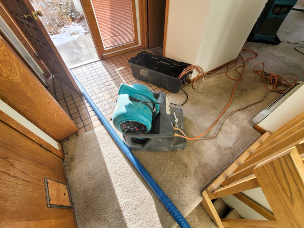 Best Emergency water damage restoration  in Bryans Road, MD