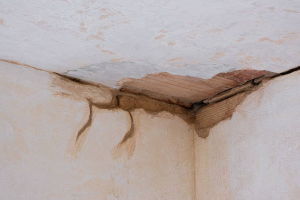 Best Sewage cleanup and water damage restoration  in Bryans Road, MD