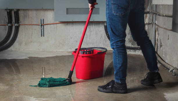 Best Ceiling water damage repair  in Bryans Road, MD
